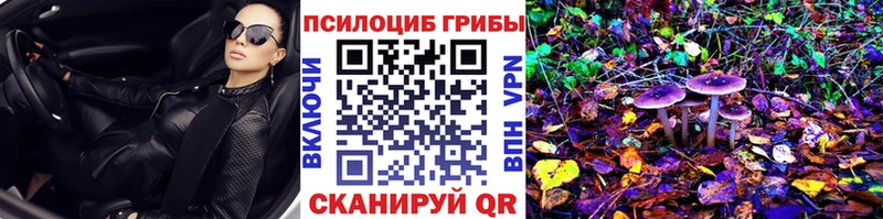 Псилоцибиновые грибы Psilocybe  Похвистнево 